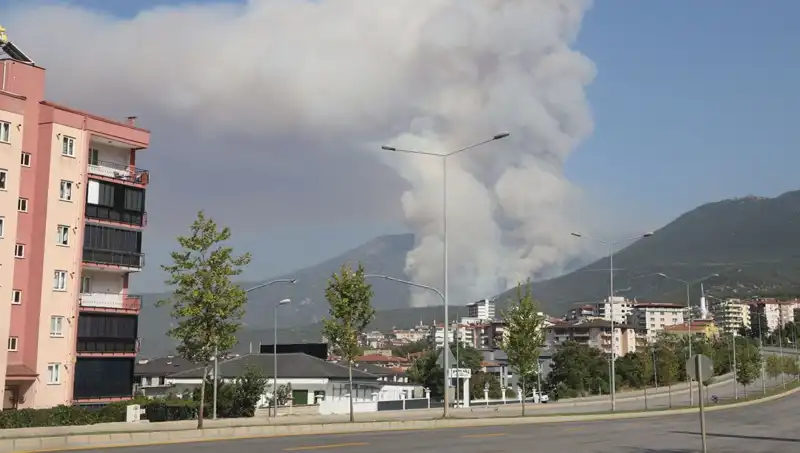 Denizli'de Orman Yangını: Şüpheli Gözaltına Alındı!