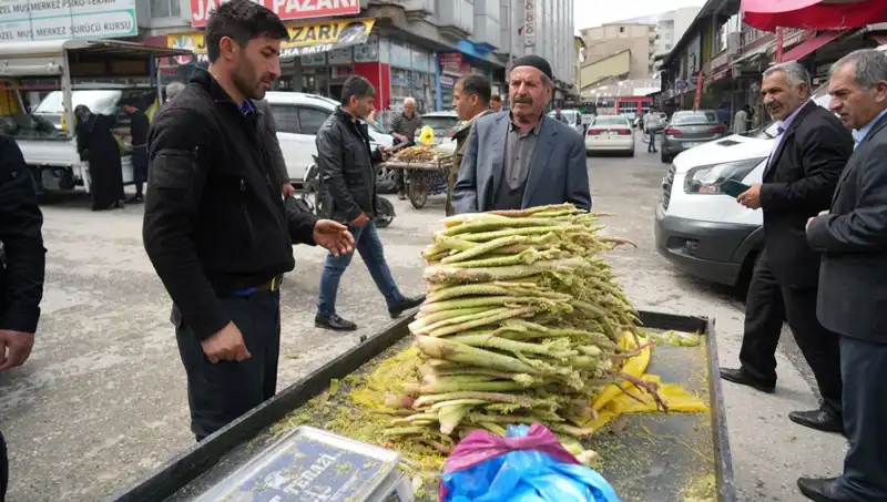 Dağlık Alanların Şifası: Şekerin Kanser ve Mide Rahatsızlıklarına Faydaları