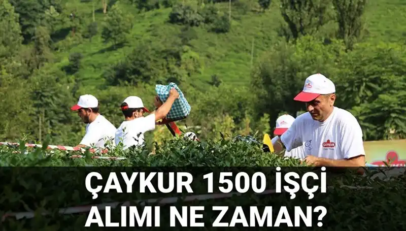 Çaykur İşçi Alımı Başvuru Tarihleri Açıklandı mı? İşte Son Gelişmeler!