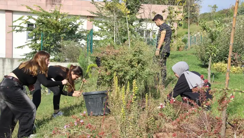 Düzce'nin Yıldızı: Hayali Gerçek Olan Muazzam Proje Dünyaya Açıldı