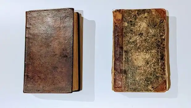 200 Yıllık Şok Edici Sır: Katilin Derisiyle Yapılmış Kitap Müze Rafında!