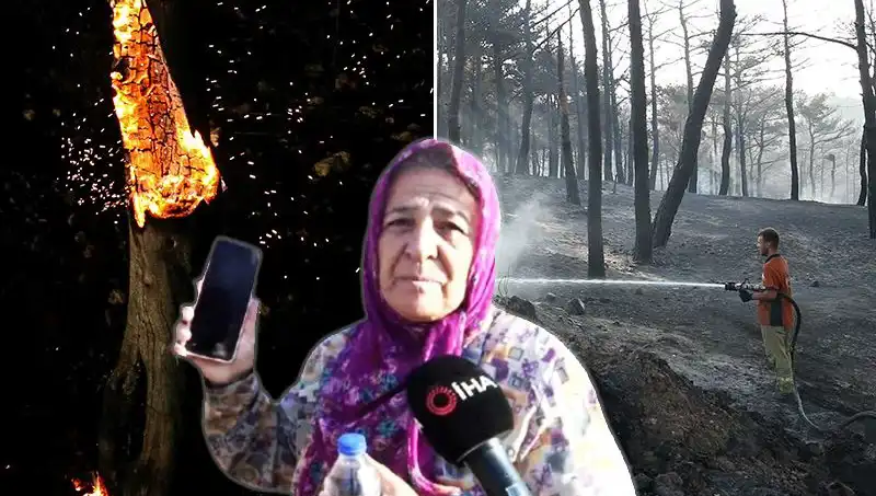 Çanakkale Orman Yangınları Kontrol Altına Alındı: Maddi Hasar ve Kayıp Detayları