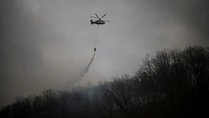 Güney Kore'de Yangın Söndürme Helikopteri Düştü: Facia Ortaya Çıktı