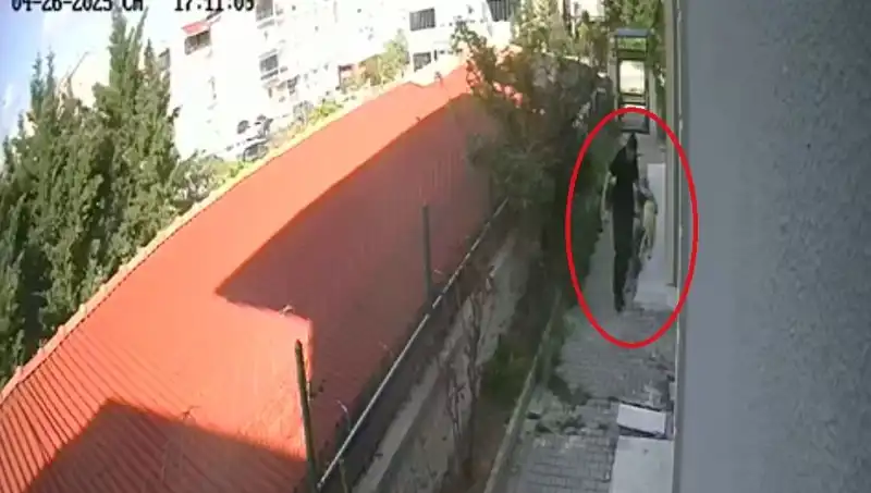 Acımasız Veteriner, Sahiplendiği Köpekleri Parçalamaktan Tutuklandı