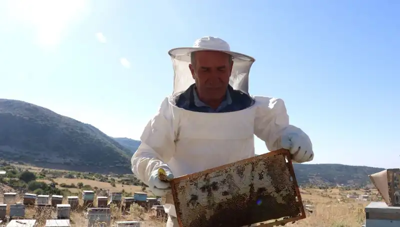 25 Yıl Önce Mobilyayı Bıraktı, Şimdi 2 Ton Ürünle Zirveye Çıktı
