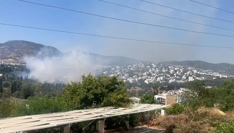 Muğla Orman Yangınları Kontrol Altında: Yangın Sonrası İyileştirme Çabaları Başladı