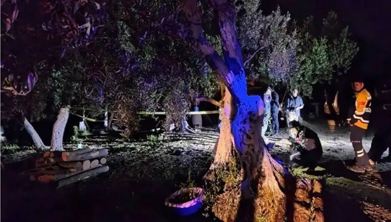 Çiftlikteki Baltalı Vahşete İki Tutuklama: Olayın Ayrıntıları Ortaya Çıktı