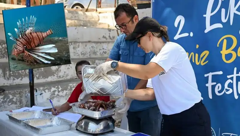 Antalya'da İstilacı Aslan Balığı Avlama Yarışması: Doğayı Korumak İçin Mücadele