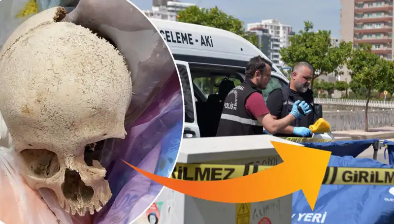 Çöpten Çıkan Kafatasının Gizemi: Uzman Doktor Gözaltında!