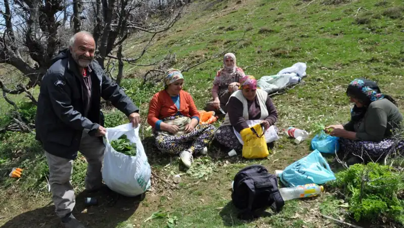 Yüzyıllık Geleneği Yaşatıyorlar: Gıda Toplamak İçin 5 Saat Yürüyorlar
