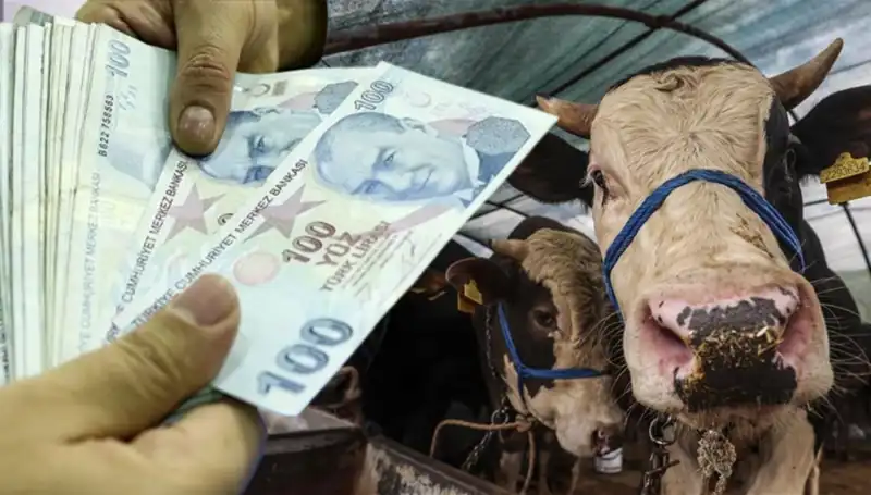 Memur ve Emekli Maaşları Bayram Öncesi Yatacak mı? Detaylar Açıklandı!