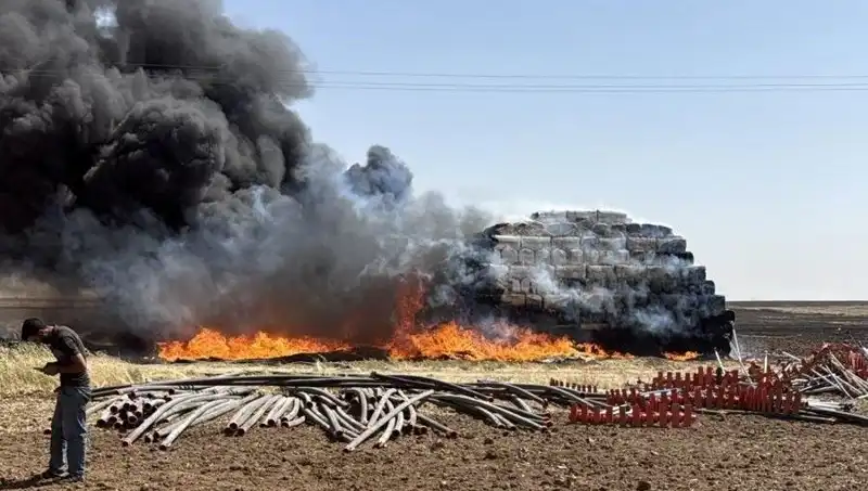 Mardin'de Anız Yangınları: Tarım Alanları Tehlikede, Çiftçiler Endişeli!